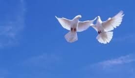 500 воздушных шаров и 200 голубей: какие мероприятия проходят в честь праздника в Шымкенте