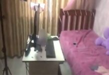 12 лет тюрьмы получил организатор порнографии в Шымкенте