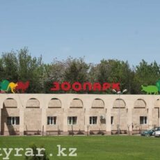 Зоопарк Шымкента не будет работать по средам