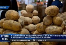 Все крупные рынки модернизируют в Шымкенте