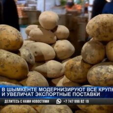 Все крупные рынки модернизируют в Шымкенте