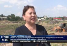 От бытового мусора и водорослей чистят каналы и реки в Шымкенте