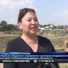 От бытового мусора и водорослей чистят каналы и реки в Шымкенте
