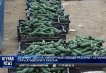 Мы банкроты: аграрии Сарыагашского района терпят убытки из-за демпинга