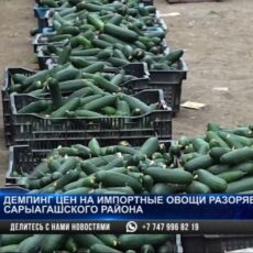 Мы банкроты: аграрии Сарыагашского района терпят убытки из-за демпинга