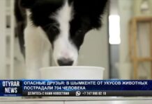 У мужчины загноился палец после укуса домашней кошки