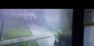 Конь сбил девочку в одном из парков в Кентау