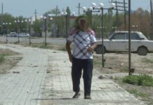 Люди страдают, а скот гибнет из-за атак мошек в Туркестанской области