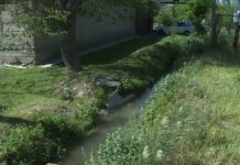 Нечистоты сливали в арык в одной из школ Туркестанской области