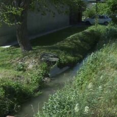 Нечистоты сливали в арык в одной из школ Туркестанской области