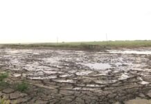 На запах фекалий и сероводорода жалуются жители Шымкента