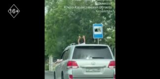 Ребенок ехал, высунувшись из люка машины, в Шымкенте