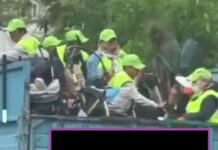 Рабочие в кузове грузовика с ветерком прокатились по улицам Шымкента