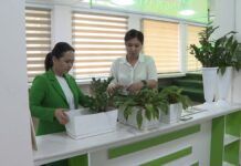 Ученые Шымкента нашли способ получать энергию из растений