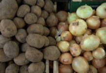 Минсельхоз: дефицита овощей и фруктов в стране не будет