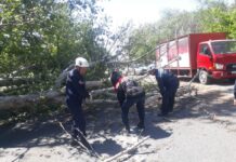 Сильный ураган разрушил улицы Шымкента