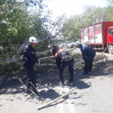 Сильный ураган разрушил улицы Шымкента