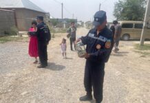 Неприятное соседство: Шымкент атакуют змеи