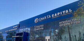 Годовой отчет ТОО «МФО «∑παρτα Capital» за 2024 год МФО «∑παρτα Capital»