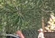 Мужчина удовлетворял себя в Центральном парке Шымкента