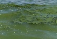 В Туркестане опасаются вспышки инфекционных заболеваний из-за бань