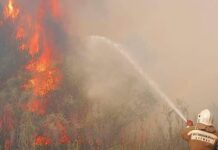 Увеличилось число жертв пожара в Абайской области