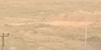 Машина сгорела в результате ДТП в Шымсити