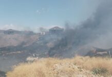 В Шымкенте ликвидировали крупный пожар