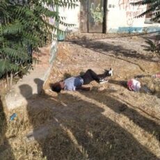 В центре Шымкента нашли труп мужчины