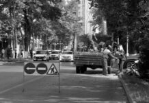 В Шымкенте убирают сухостой