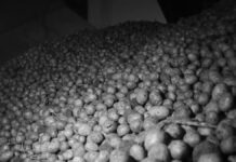 Нехватка овощехранилищ в стране ведет к росту цен