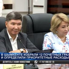 О чем просили шымкентские чиновники депутатов