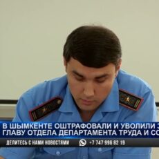В Шымкенте активно борются с коррупцией