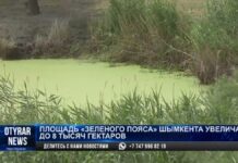 Территория «зелёного пояса» Шымкента станет больше