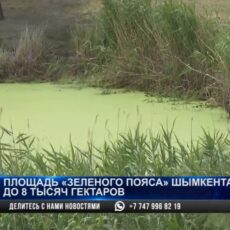 Территория «зелёного пояса» Шымкента станет больше