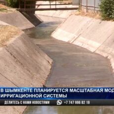 Арычную систему в Шымкенте восстановят