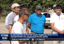 В Жетысае аграрии вынуждены покупать удобрения по завышенной цене