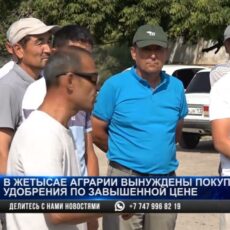 В Жетысае аграрии вынуждены покупать удобрения по завышенной цене