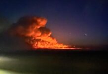 Кадрами бущующего пожара делятся жители пригорода Семея