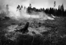 7 самых страшных пожаров в стране за последнюю пятилетку