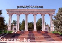 В озеро Дендропарка вернули воду