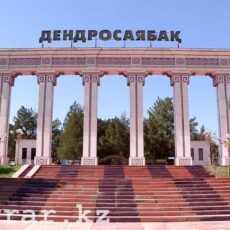 В озеро Дендропарка вернули воду