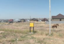 Как проходит газификация микрорайонов в Шымкенте