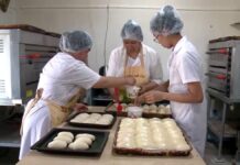 В сёлах Туркестанской области растет число предпринимателей