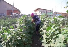 Как работает программа переселения на Север