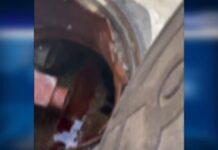 В Шымкенте по жалобам жителей проверили канализационные стоки