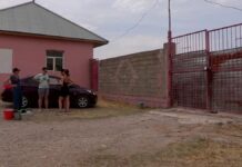 Подробности инцидента жестокого обращения с животными в отлове Шымкента