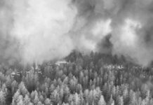 Массовая эвакуация. Что известно о ситуации в Абайской области