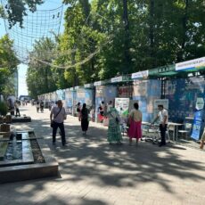 «Есть даже Эйфелева башня»: Ярмарка товаропроизводителей проходит в Шымкенте