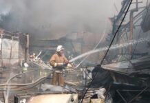 Пожар в районе Ордабасы локализован-ДЧС